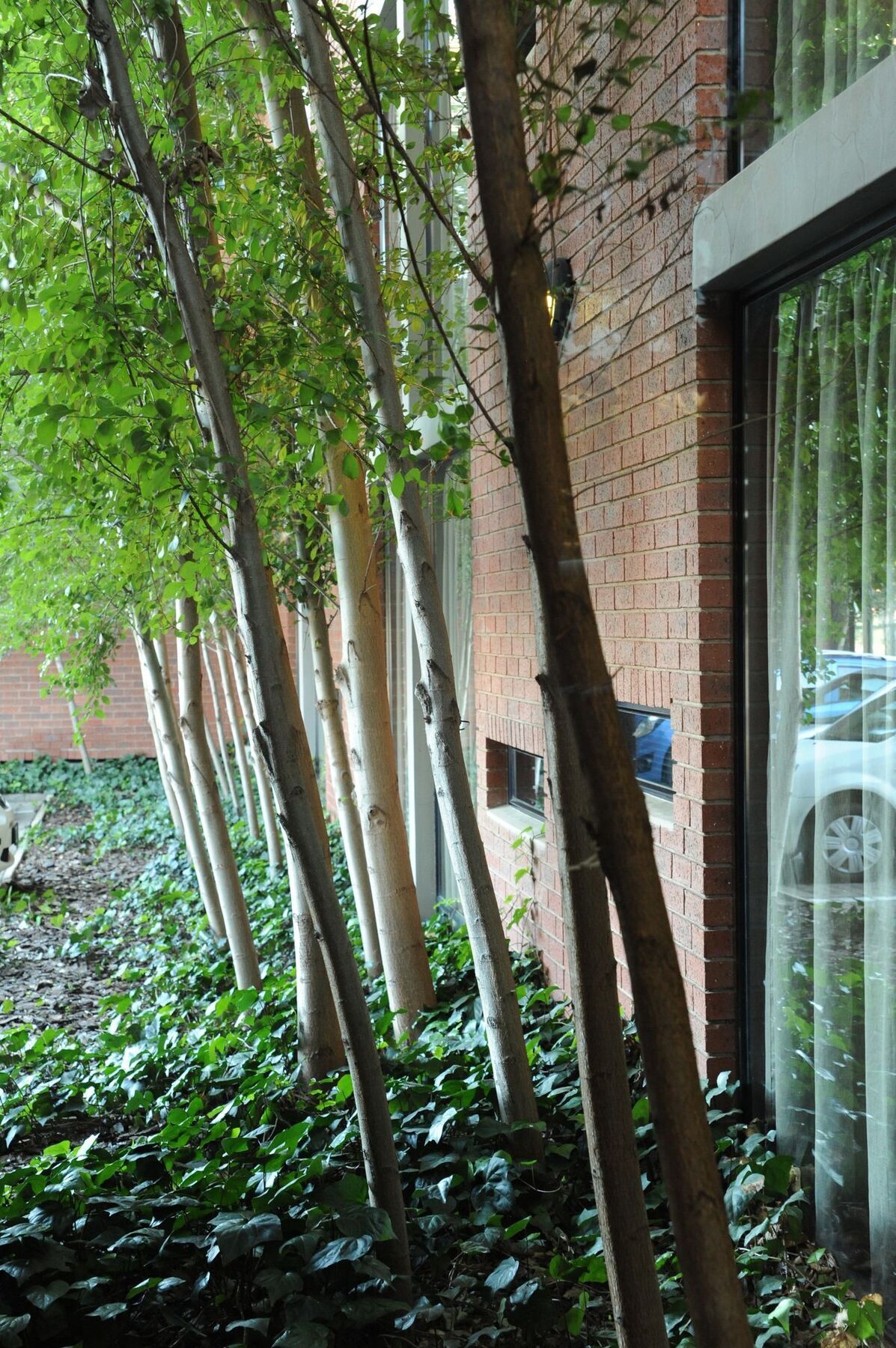 Aha Bloemfontein Hotel Ngoại thất bức ảnh